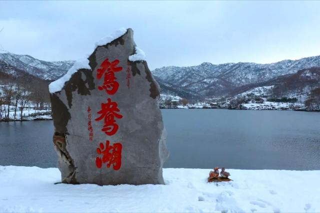 “国字号”新名片亮相！环翠区以文塑旅绘新景