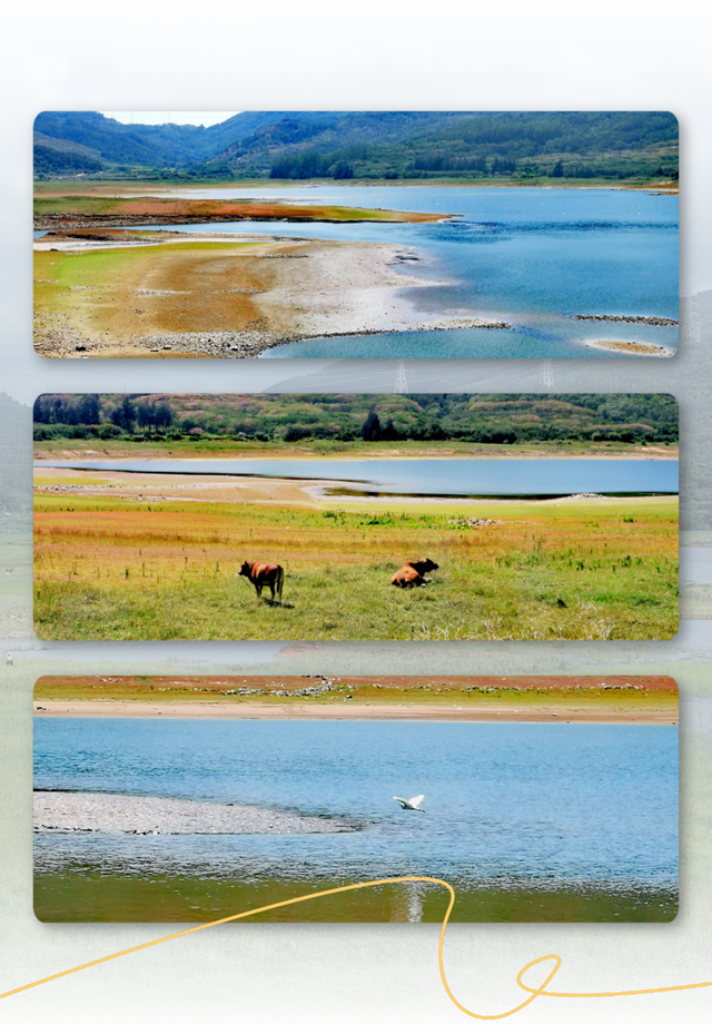 是时候爆火了，这座“天赋异禀”的小山村，来了就想当”新村民”！