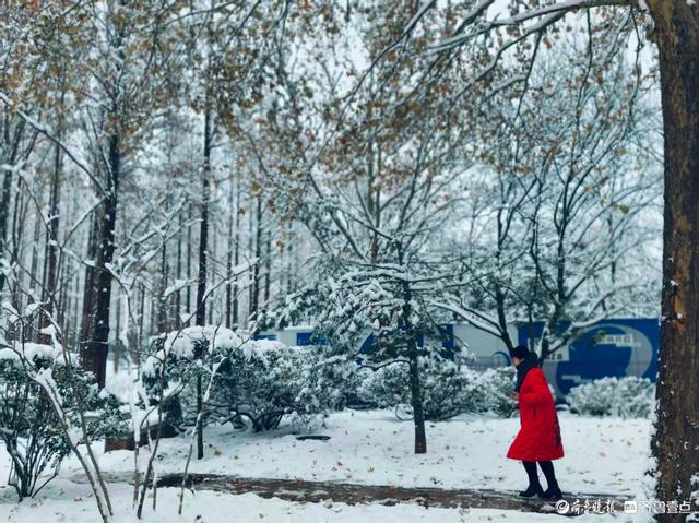 雪中泉城公园美不胜收