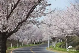 北方微短剧影视基地：“文旅＋影视”融合 打造沉浸式电影乐园图片