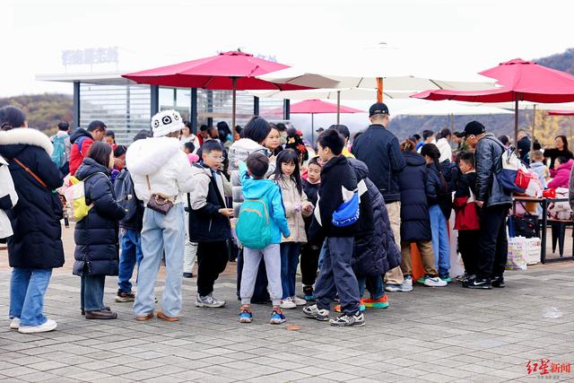 焕新融合，文旅市场迎来新气象