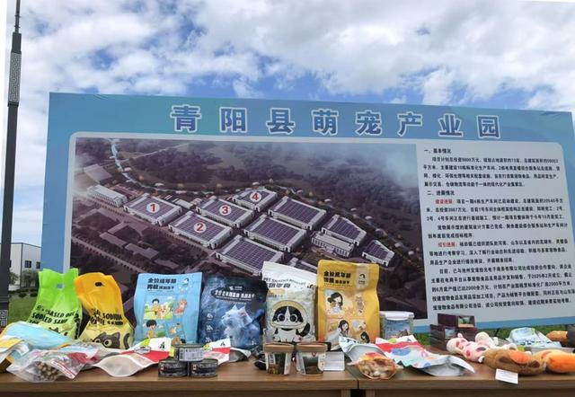牢记嘱托 感恩奋进——安徽往前赶｜池州：文旅业态创新融合 绘就“诗与远方”新画卷