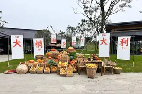 农业科普、农事采收等你来 成都金堂乡村振兴田园综合体正式对外开放图片