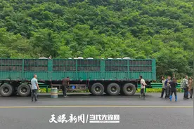 从内蒙古到贵州 34吨有机肥助力剑河县柳堡村产业发展图片