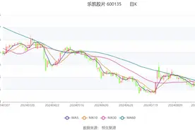 乐凯胶片：2024年上半年亏损3184.05万元图片
