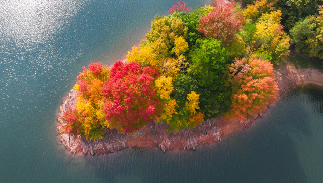 我在这里，等你→