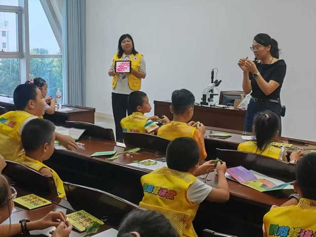 烟台自然博物馆：“五美融育”绘就“仙境海岸·最美博馆”