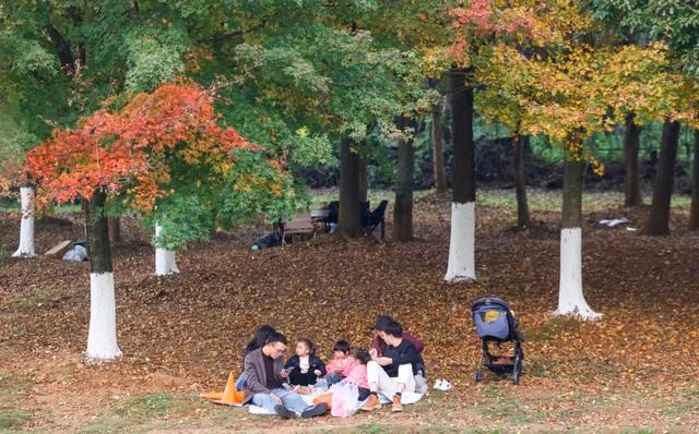 这含“金”量，不摆啦！贵阳的秋天，谁懂？