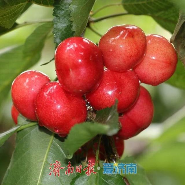 趣撒野，拾童心！这份六一儿童节亲子出游企划请收好
