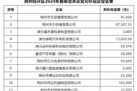 1000万元＋！荆州经开区拟为企业发放这项补贴图片