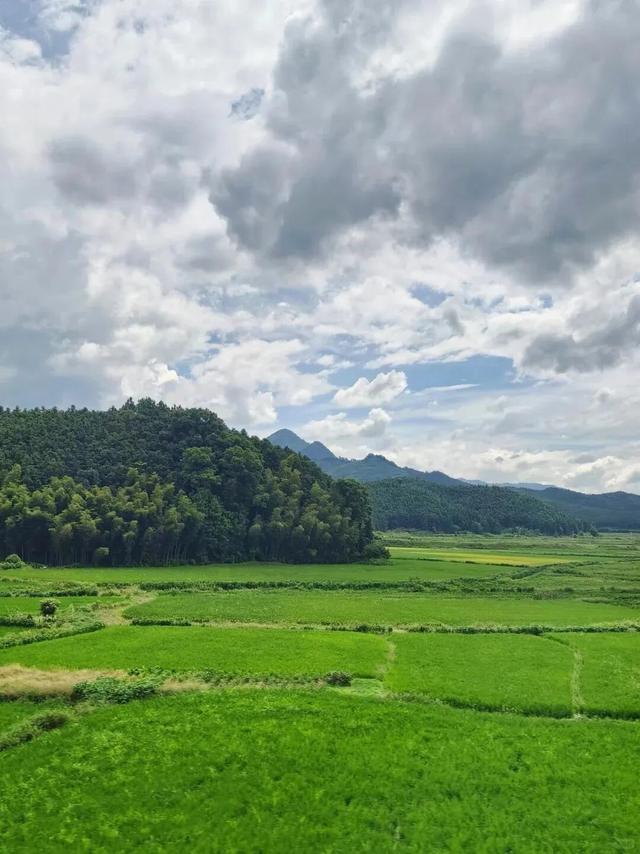 赣鄱青黛处，水墨映归程