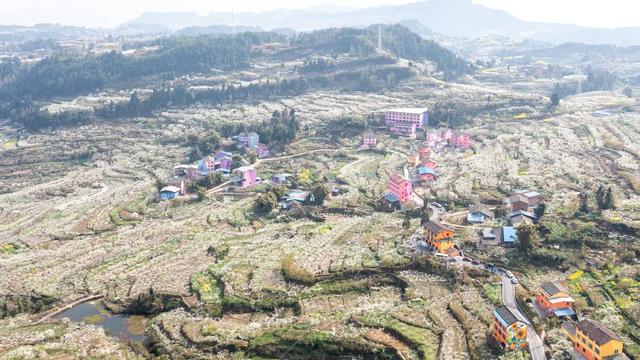 打造“畅游川渝陕 相约到通川”文旅品牌 四川达州通川区这样做