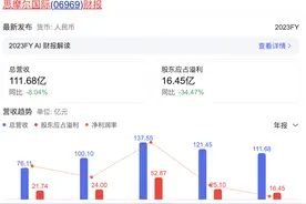 思摩尔国际去年净利润下滑37.21%  国内收入降至1.63亿元图片