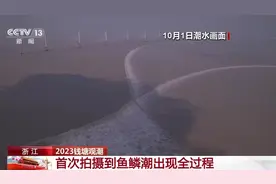 滔滔江水如同万马奔腾 一起来看鱼鳞潮出现全过程→图片