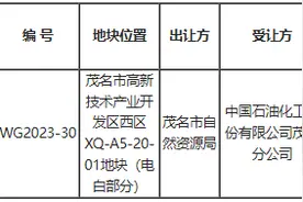 广东茂名成功出让2宗工业用地图片
