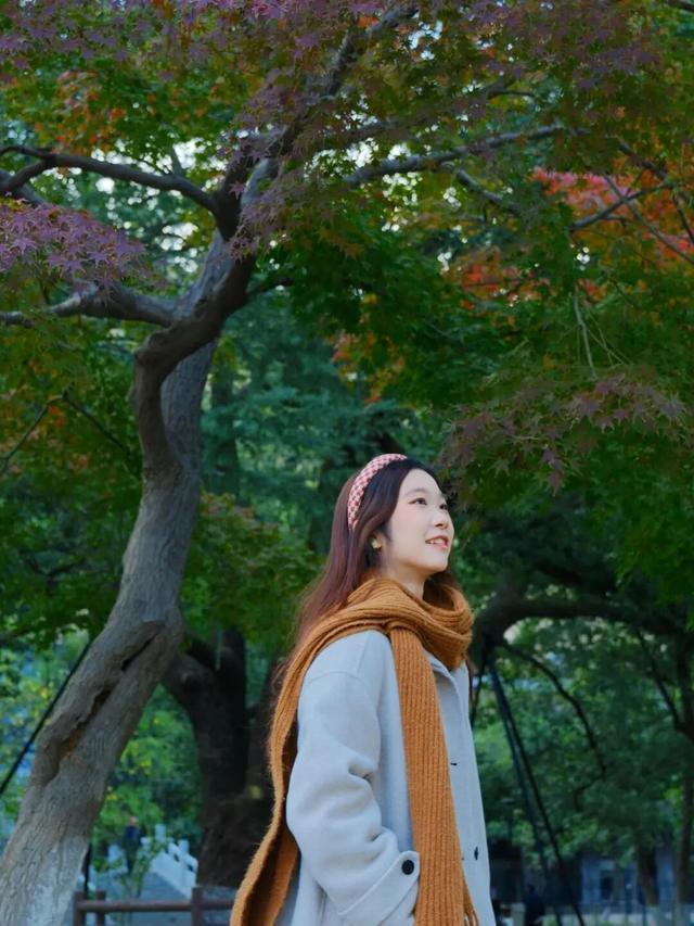 周末N次方|打开这份江汉赏秋图鉴→