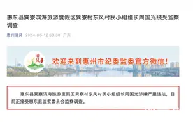 惠州惠东县巽寮一村小组组长被查！图片