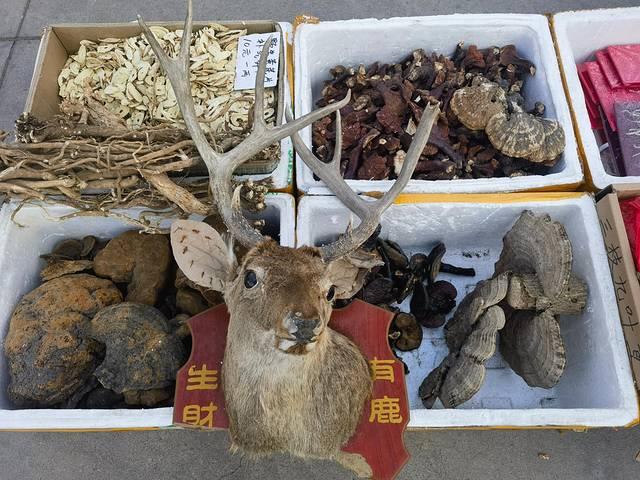 走进延边：长白山天池、延吉、图们、珲春行记