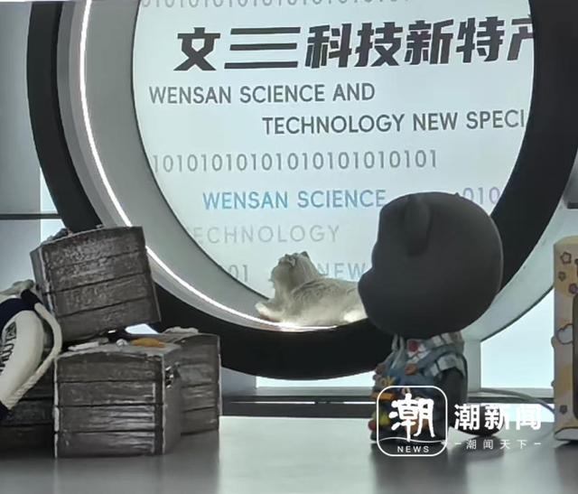“主动加一个购物点！”入境游客爱上科技游，“杭州造”新特产红了