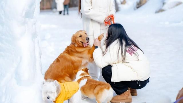 今年跨年怎么玩儿？一起勇闯白云山！