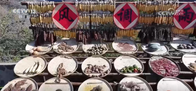 特色“秋日颜值”转化为“文旅产值” 各地“赏秋经济”热力十足