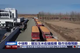 中储粮增加玉米收储规模 村民：很放心 收入也很好图片