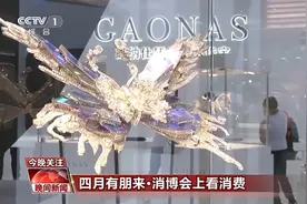 一批“新、奇、特”展品亮相 AI为消博会带来满满科技感图片
