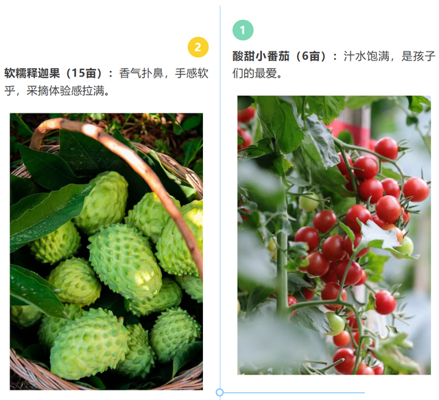 报名开启！来滨海湾这个公园，把一篮“新鲜”摘回家！