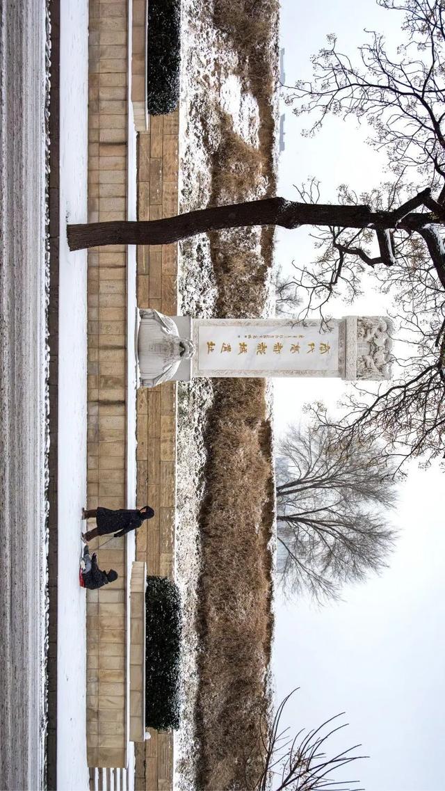 河南下雪冲上热搜！解锁各地冰雕玉砌的浪漫密码……速戳绝美现场→