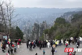 张家界国家森林公园面向本地市民推出专属旅游惠利图片