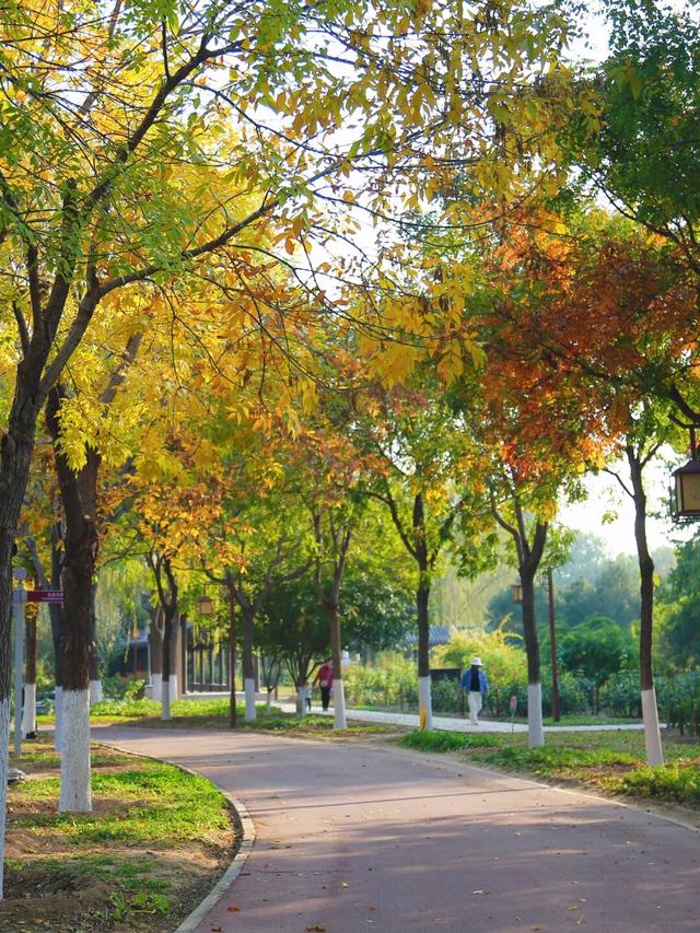 邂逅初冬，大兴6条宝藏慢跑路线请收好