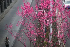 武汉3月还会下雪吗？最新回应图片