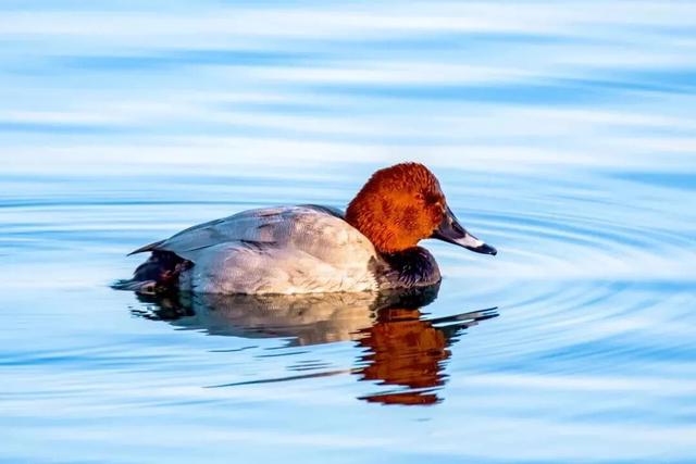 来保山，让冬日住进22℃的温柔里！
