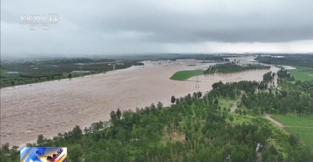 辽宁海参多少钱一斤 2026年辽宁大连海参多少钱一斤