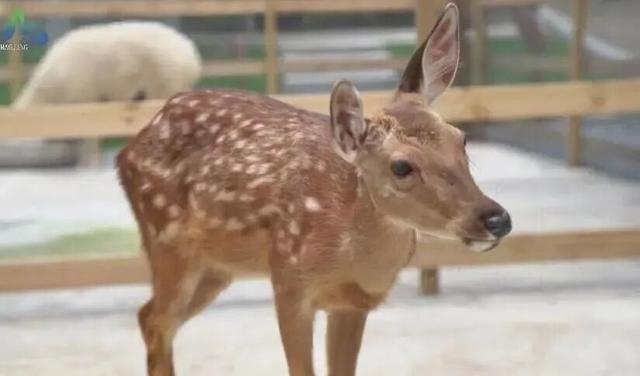 贵溪人，秋高气爽，去这儿玩！