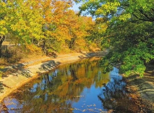 溪如画，影成诗……被舜耕山的初冬美景治愈了！