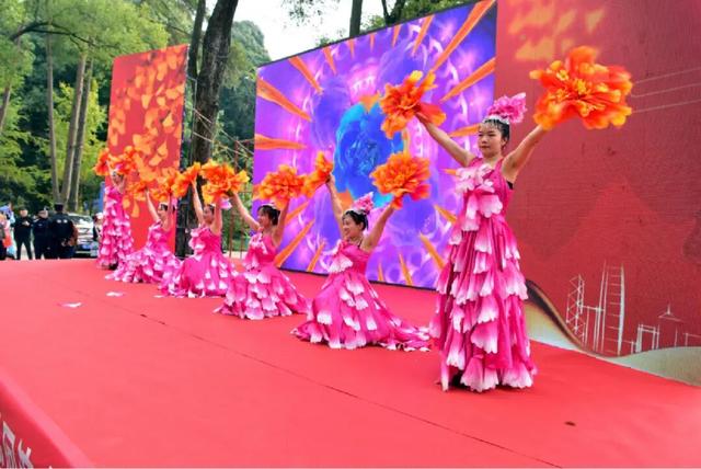 千年银杏韵，金黄满地诗，金色海洋游玩攻略来了！