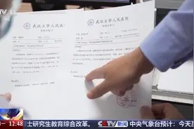 “债务咨询专家”帮办延期还款 背后有何套路？图片