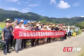 汝城：臻两优8612交出高产优异“答卷”图片
