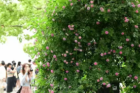 杭州、衢州、湖州被点名，明夜起这些地方局部有暴雨图片