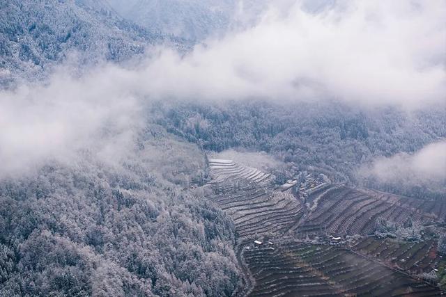 不上班，就上山！