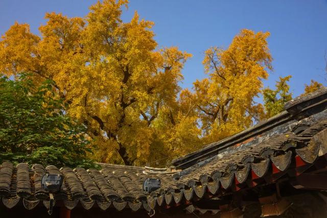 太仙了！美到巅峰！这个周末，又要人人人啦~