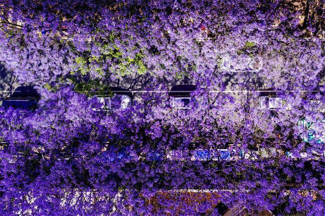 十二把钥匙，解锁云南全年旅居生活