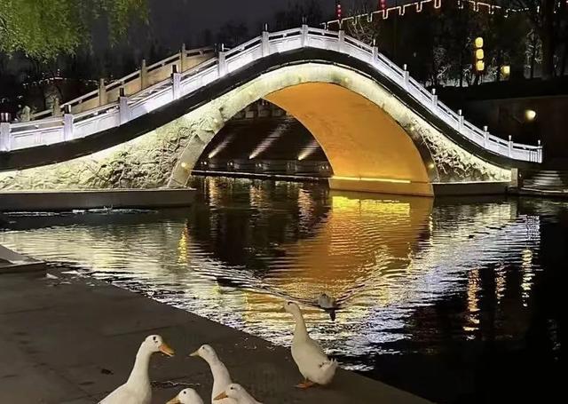 夜夜耶耶~解锁暑期夜游曲江的N种打开方式