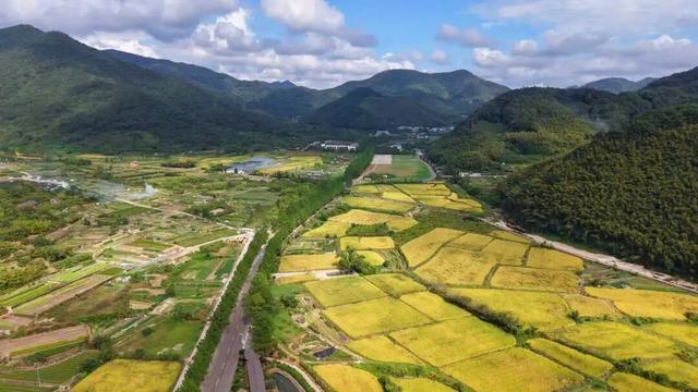 区（县、市）交通 | 鄞州这条“秋日宝藏公路”，你去过吗？