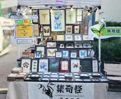 入选闵行十大！快来，邂逅一个有“温度”的秋天