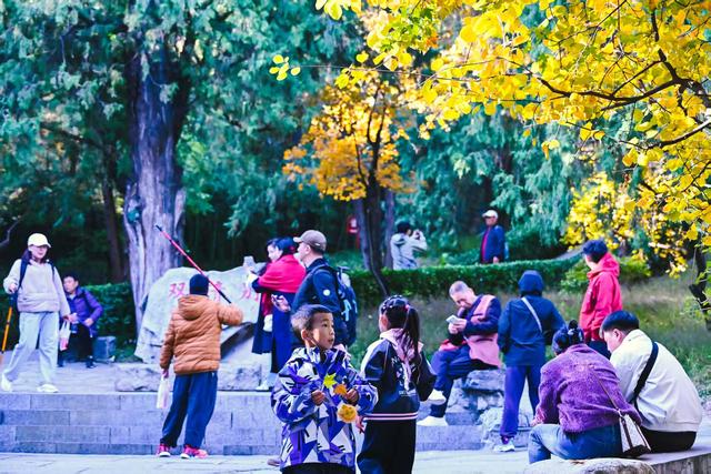 香山赏红迎来最高峰！无特殊天气彩叶还将持续一周