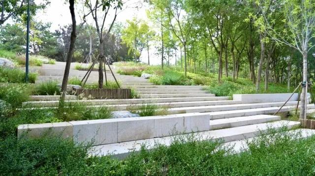 17万平方米绿廊上线！就在——