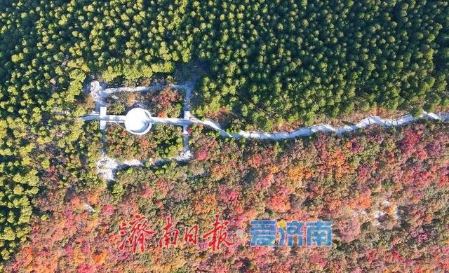 渐入佳境，济南版“鸳鸯火锅”将迎来红叶最美时节