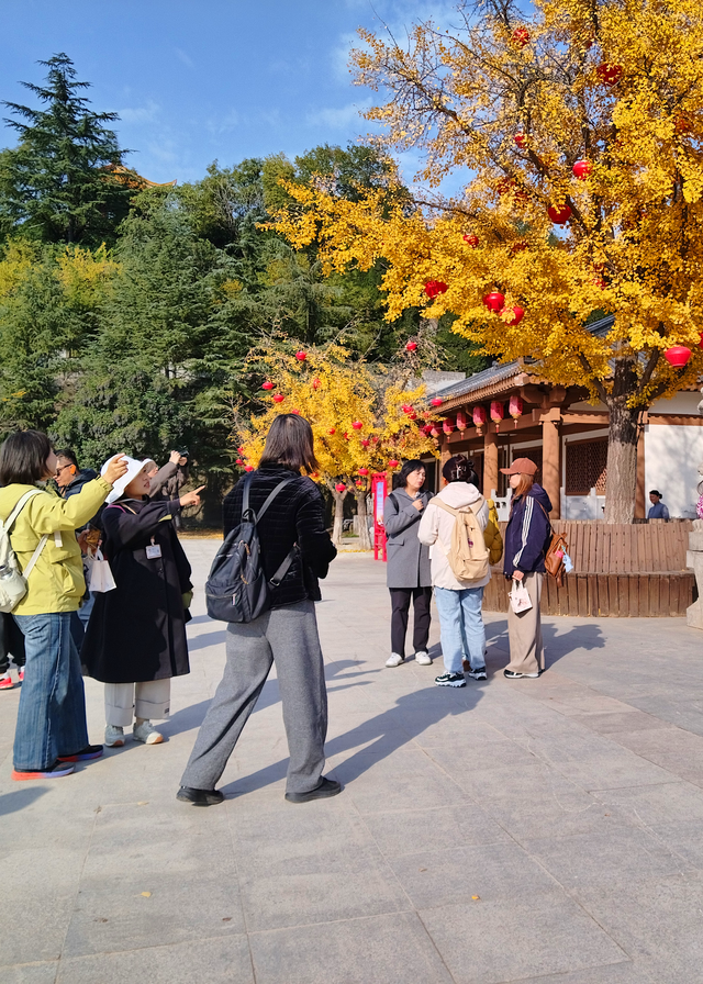 共谋“诗和远方”！洛阳导游行业赴函谷关考察交流